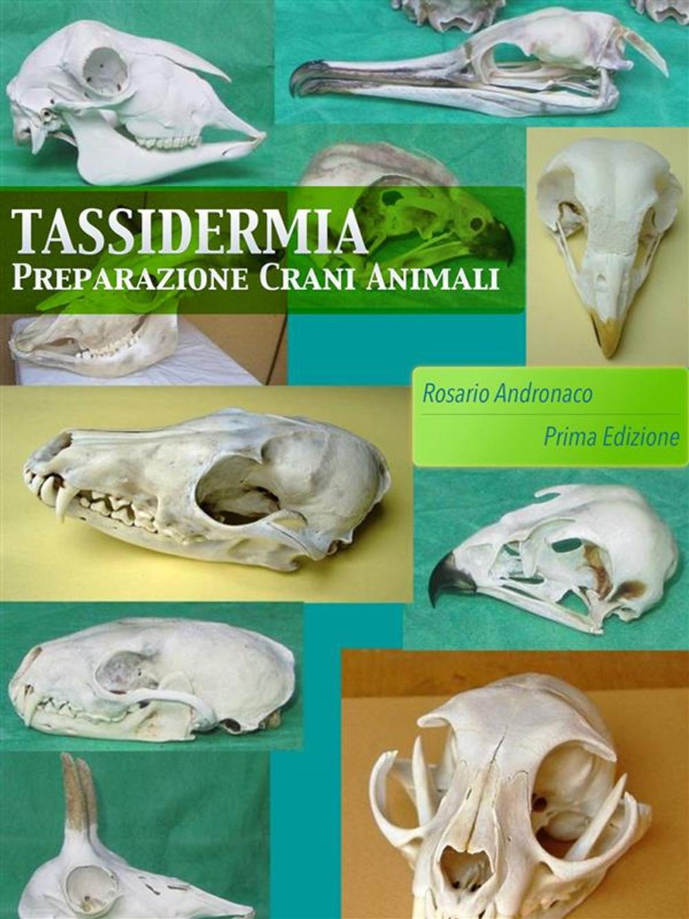 Big bigCover of Tassidermia: Preparazione Crani di animali