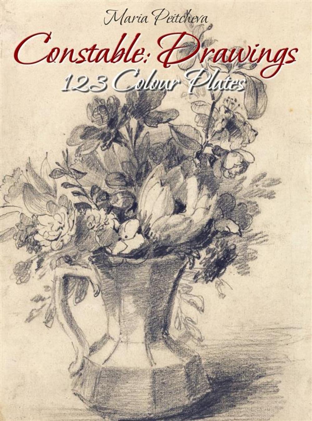 Big bigCover of Constable: Drawings 123 Colour Plates