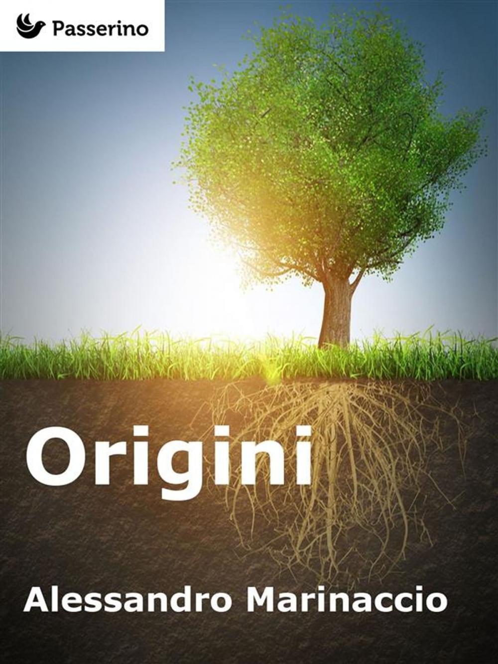 Big bigCover of Origini