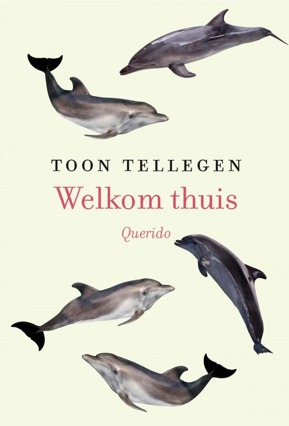 Big bigCover of Welkom thuis