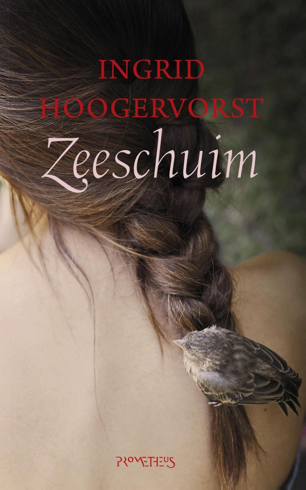 Big bigCover of Zeeschuim