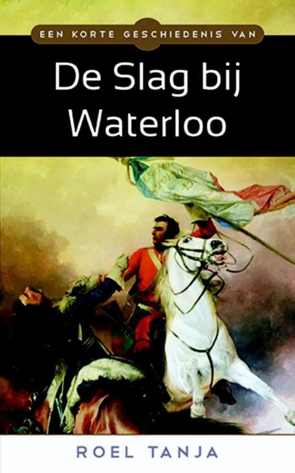 Big bigCover of Een korte geschiedenis van de Slag bij Waterloo