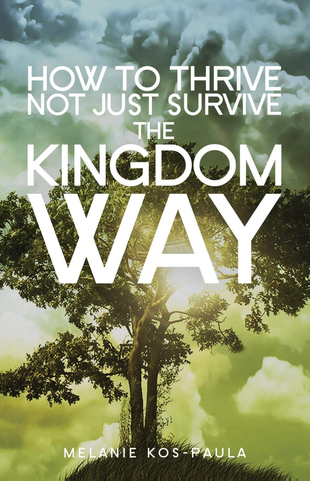 Big bigCover of How to thrive not just survive the kingdom way