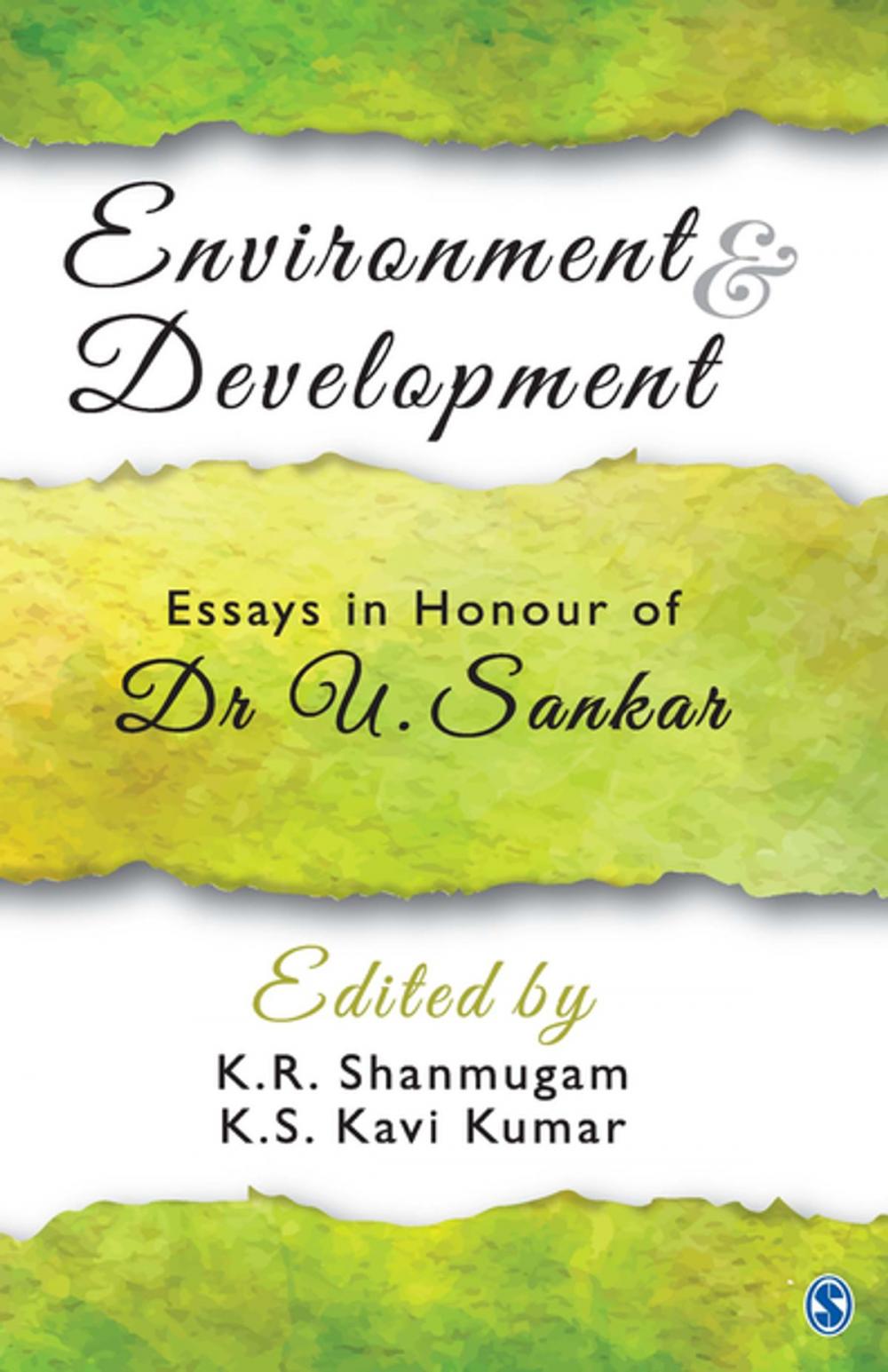 Big bigCover of Environment and Development