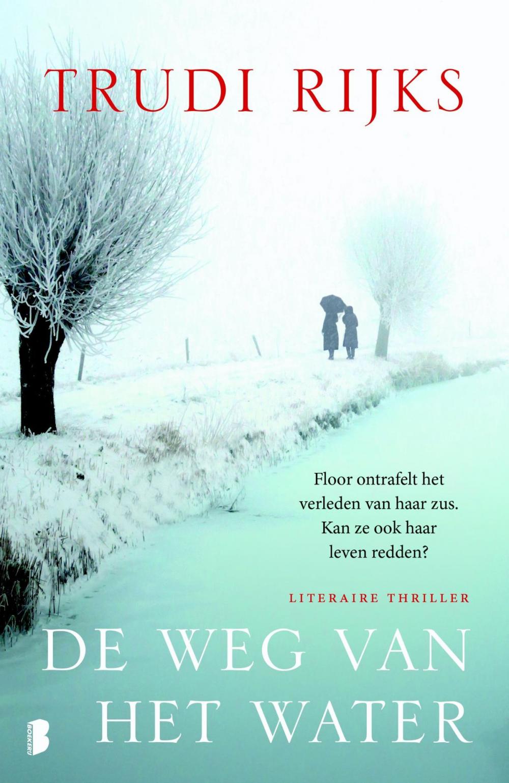 Big bigCover of De weg van het water