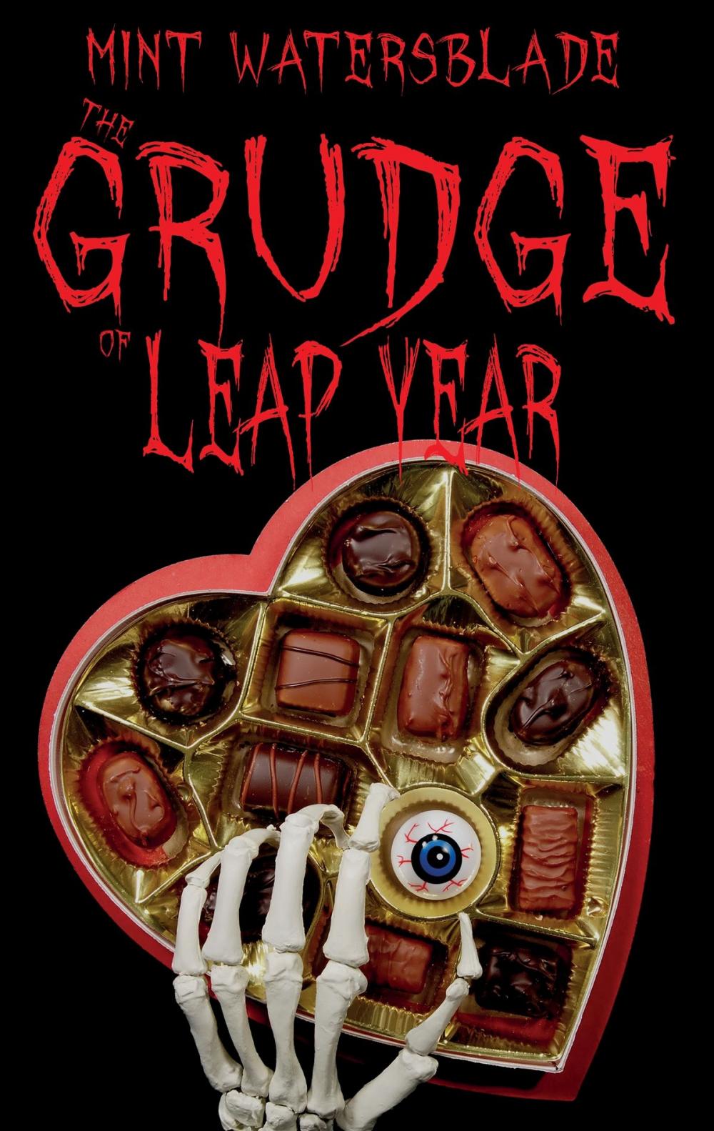 Big bigCover of The Grudge of leap year