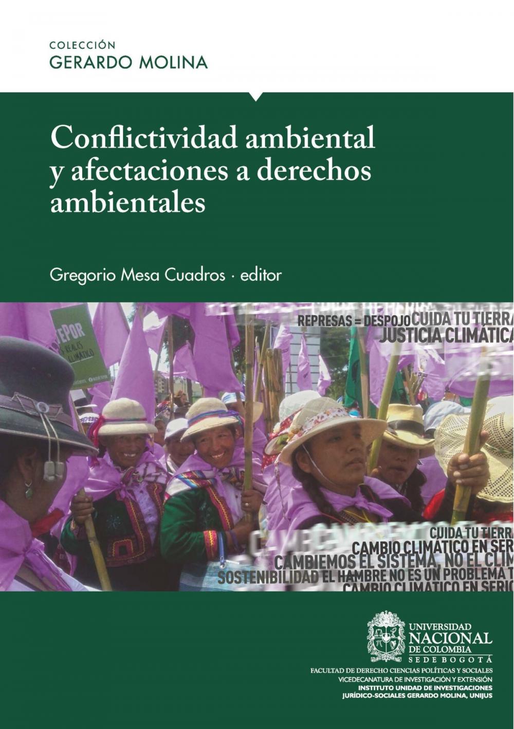 Big bigCover of Conflictividad ambiental y afectaciones a derechos ambientales