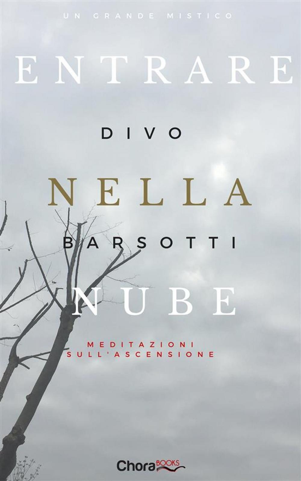 Big bigCover of Entrare nella nube