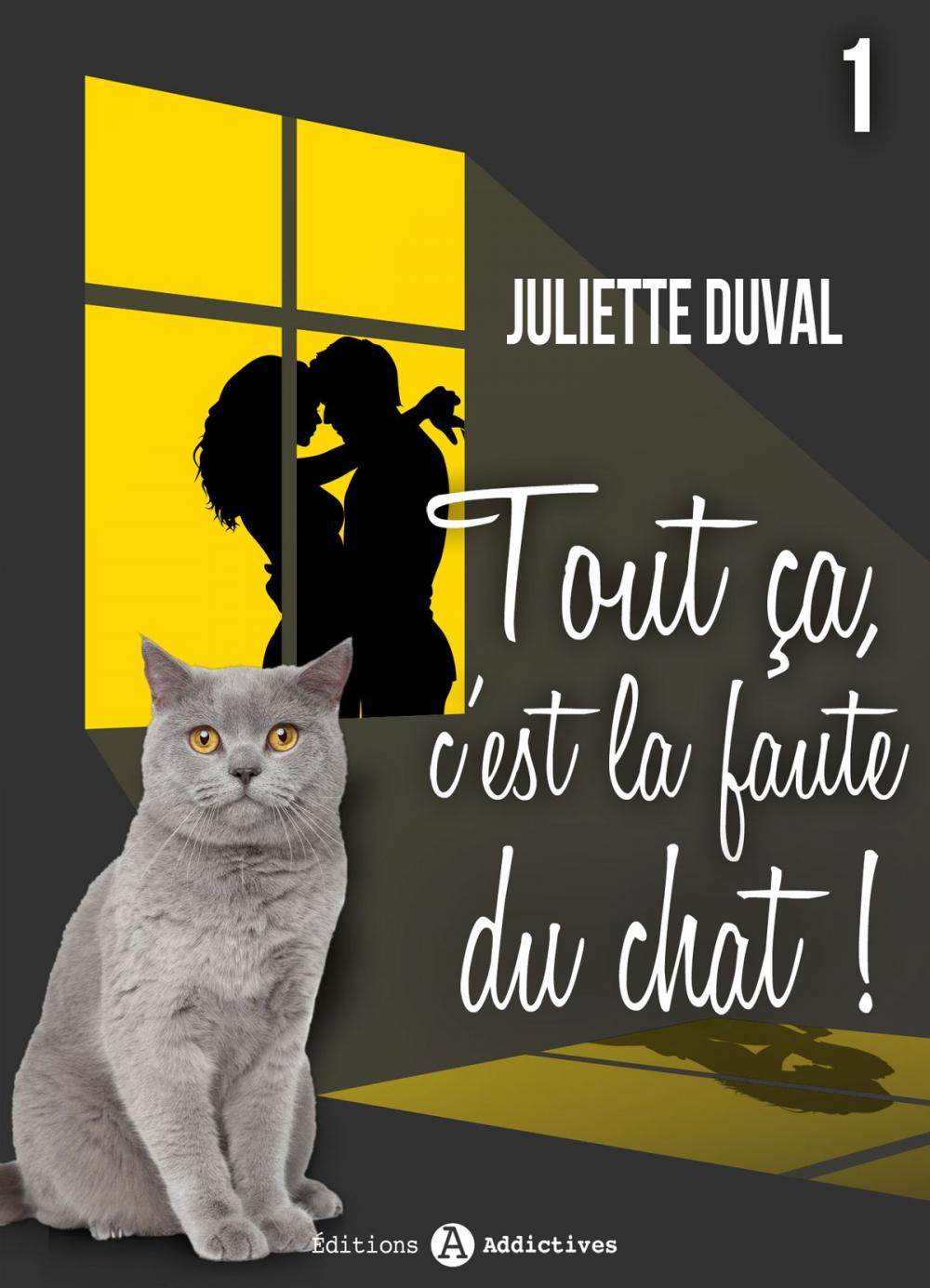 Big bigCover of Tout ça, c’est la faute du chat ! - 1