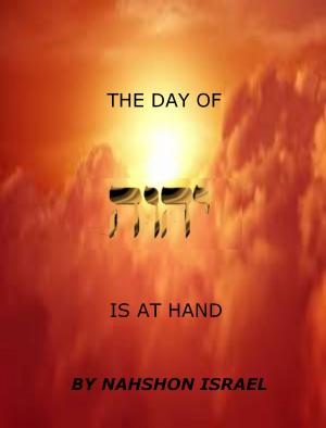 Cover of the book THE DAY OF YHWH IS AT HAND by James M. Becher