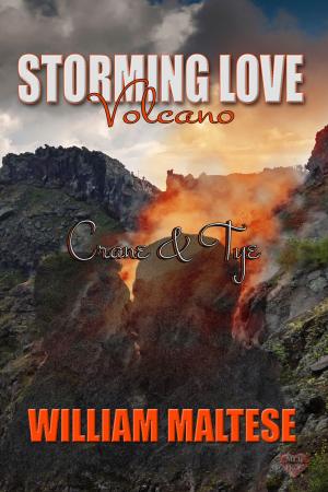 Cover of the book Crane & Tye by Anya M. Silver