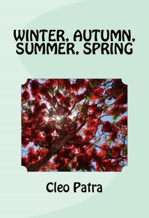 bigCover of the book WINTER, AUTUMN, SUMMER, SPRING by 