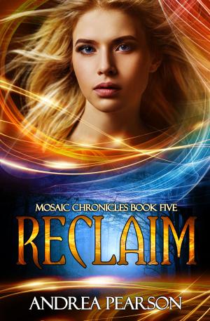 Book cover of Reclaim