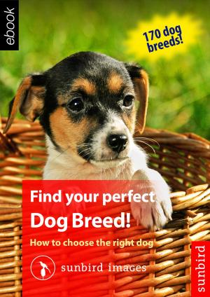 Cover of Find your perfect Dog Breed! How to choose the right dog