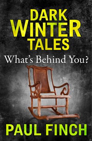 Cover of the book What’s Behind You (Dark Winter Tales) by Jules Wake