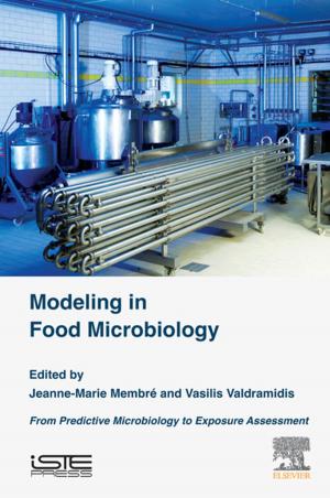 Cover of the book Modeling in Food Microbiology by David J. Smith
