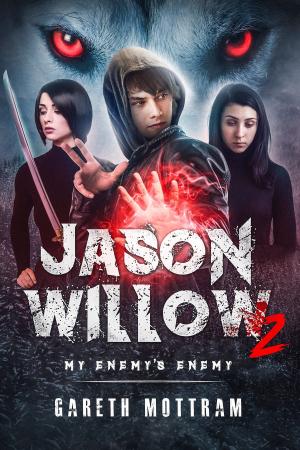 Cover of Jason Willow 2: My Enemy's Enemy