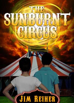 Cover of The Sunburnt Circus