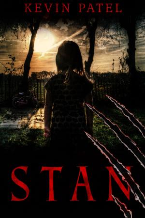 Cover of the book Stan (Written Trailer) by Raz Rubinny