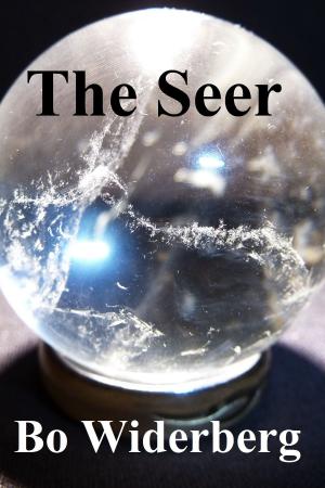 Cover of the book The Seer by J. Lee Porter, Ed Teja
