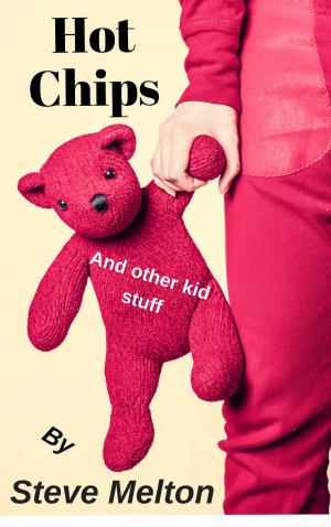 bigCover of the book Hot Chips by 