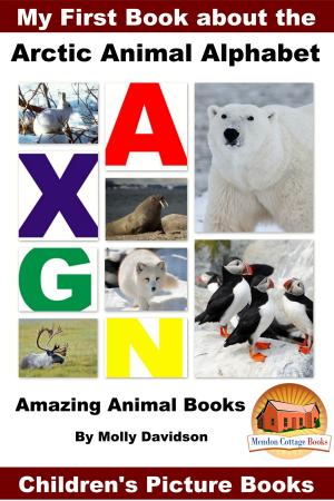Cover of the book My First Book about the Arctic Animal Alphabet: Amazing Animal Books - Children's Picture Books by Rachel Smith