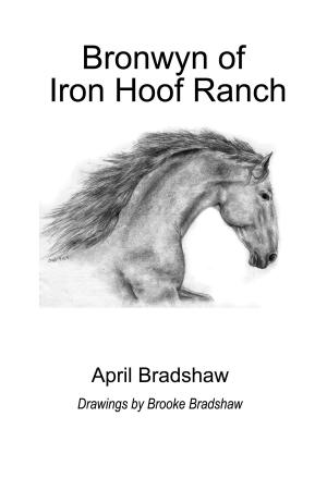 Cover of the book Bronwyn of Iron Hoof Ranch by Phyllis Reynolds Naylor