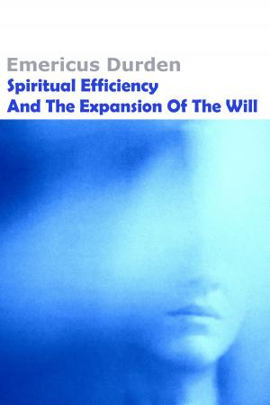 Cover of the book Spiritual Efficiency And The Expansion Of The Will by Vincenzo Scalia