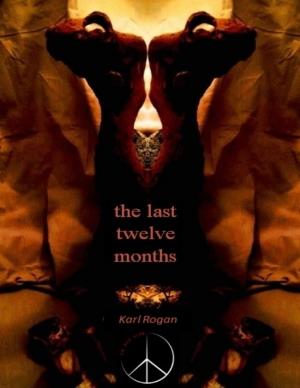 Cover of the book The Last Twelve Months by Diana Mylek
