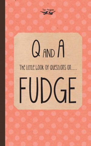 Cover of the book The Little Book of Questions on Fudge by E. Jervoise