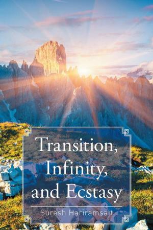 Cover of the book Transition, Infinity, and Ecstasy by Anuradha Prasad