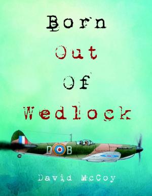 Cover of the book Born Out of Wedlock by Jane Sutphin Leitch