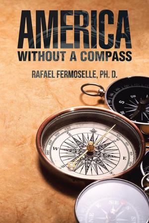 Cover of the book America Without a Compass by Bedrich V. Hettich