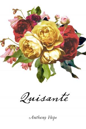 Cover of the book Quisanté by Elizabeth Weston Timlow