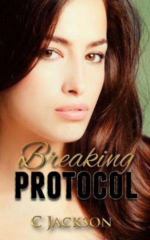 Cover of the book Breaking Protocol by Simon Marshland