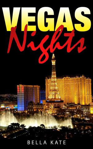 Cover of the book Vegas Nights by Lorel Simon