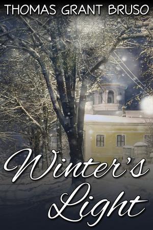Cover of the book Winter's Light by Nanisi Barrett D'Arnuk