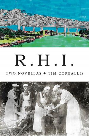 Cover of the book R.H.I. by Damien Wilkins