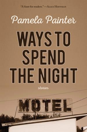 bigCover of the book Ways to Spend the Night by 