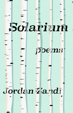 Cover of the book Solarium by Karyna McGlynn