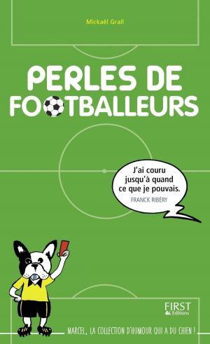 Cover of the book Perles de footballeurs by Thierry ROUSSILLON