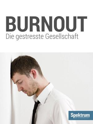 Cover of the book Burnout by Spektrum der Wissenschaft, Hans-Joachim Schlichting