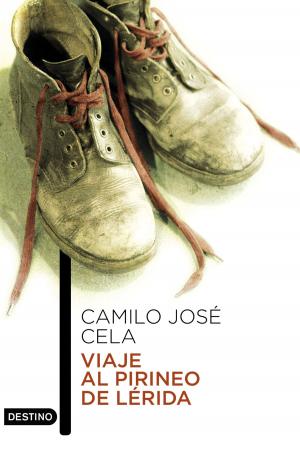 Cover of the book Viaje al Pirineo de Lérida by David Hernández de la Fuente