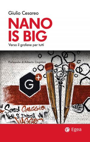 Cover of the book Nano is big by Silvano Tagliagambe