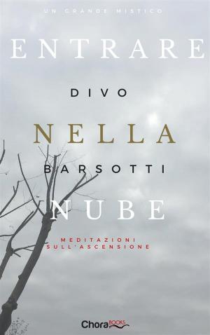 Cover of the book Entrare nella nube by Enrico Finotti