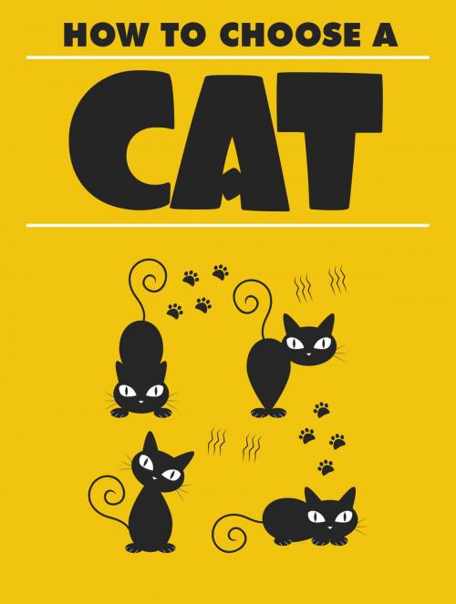 Cover of the book How to Choose A Cat by Anonymous, Consumer Oriented Ebooks Publisher