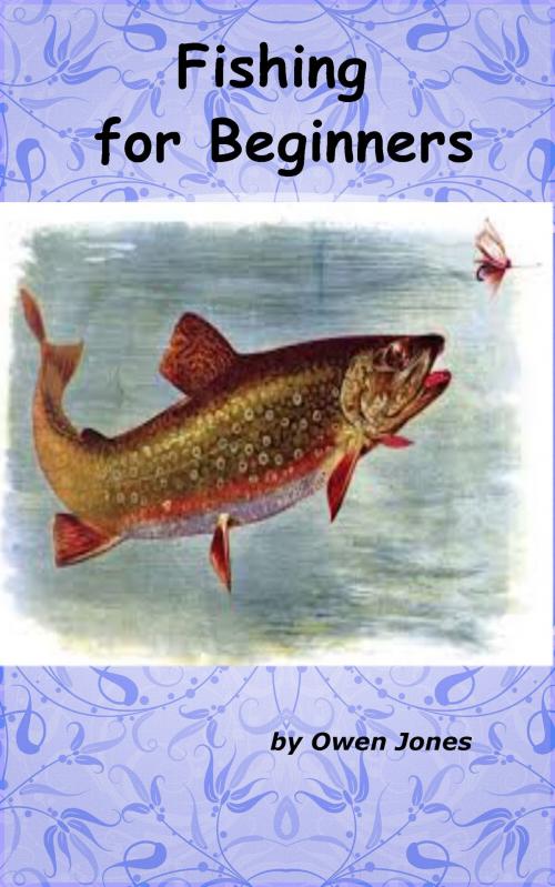 Cover of the book Fishing for Beginners by Owen Jones, Megan Publishing Services