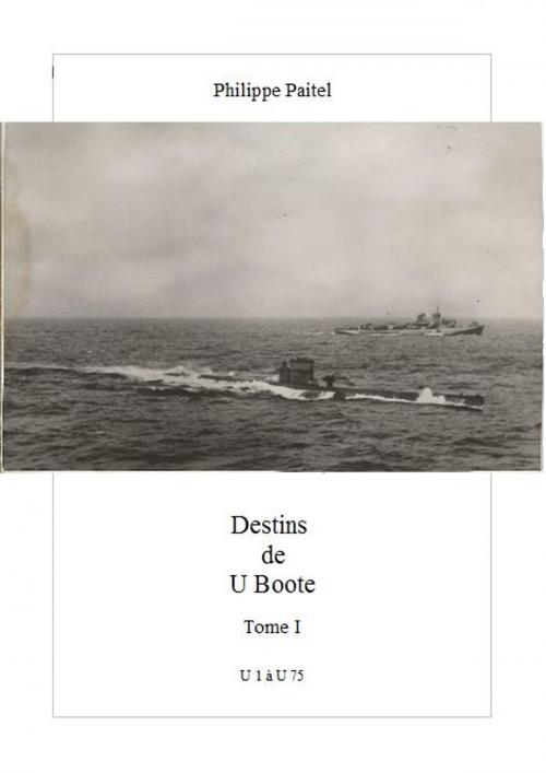 Cover of the book Destins de U Boote by philippe paitel, philippe paitel