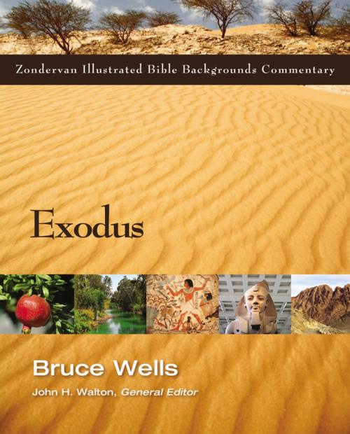 Cover of the book Exodus by Bruce Wells, John H. Walton, Zondervan Academic