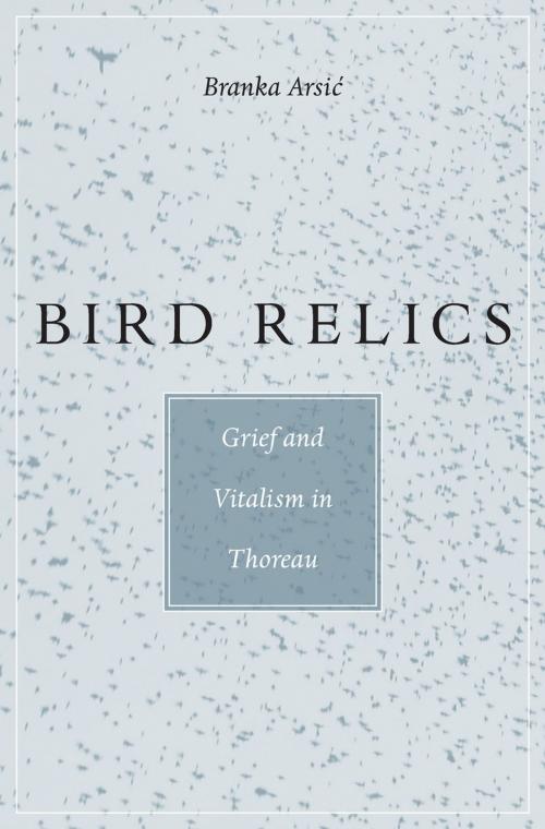 Cover of the book Bird Relics by Branka Arsić, Harvard University Press